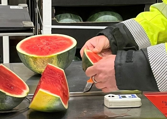 Keurmeester van de Toekomst